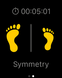 watch running symmetry advanced metric